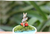 Miniature Animal Music Band
