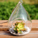 Hanging Rain Drop Glass Terrarium Globe 10 cm