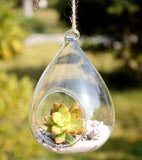 Hanging Rain Drop Glass Terrarium Globe 10 cm