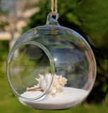 Hanging Round Glass Terrarium Globe 10 cm