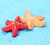 Miniature Starfish (2 pcs)