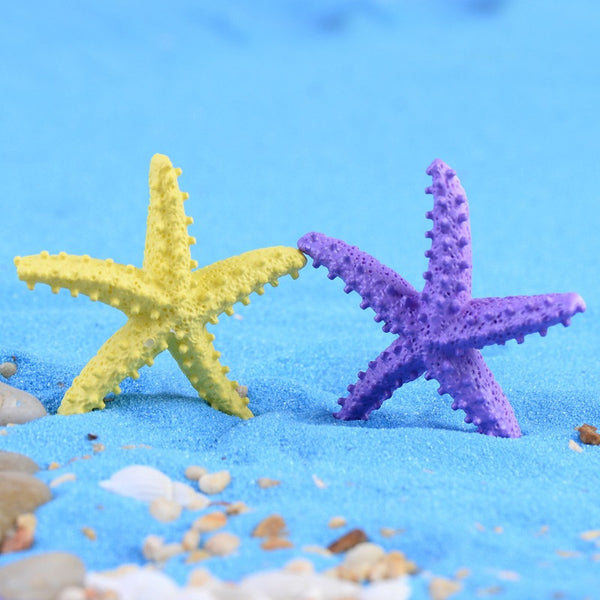 Natural Starfish Tiny Size Flat Crafts Decor for Aquarium Micro-landscape  40 Pcs for sale online