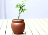 Terra Cotta Flower Pot