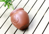 Terra Cotta Flower Pot