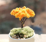Fairy Garden Miniature Maple Leaf Trees (3 pcs)