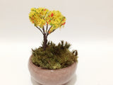 Fairy Garden Miniature Flowering Trees (3 pcs)