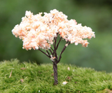 Fairy Garden Miniature Maple Leaf Trees (3 pcs)