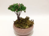 Fairy Garden Miniature Flowering Trees (3 pcs)
