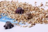 Fairy Garden Tree Stumps Small