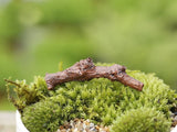 Miniature Tree Trunk