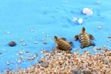 Miniature Sea Turtle