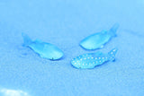 Miniature Whale Sharks (2 pcs)