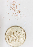 10 Seeds Rare Dinteranthus Vanzylii