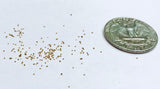 15 Seeds Lithops Olivacea Mix