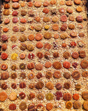 20 Seeds Lithops Aucampiae Mix