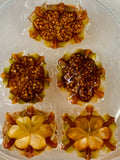 15 Seeds Lithops Karasmontana Bella C143A