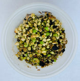 25 Seeds Rare Authentic Lithops Seeds Mix